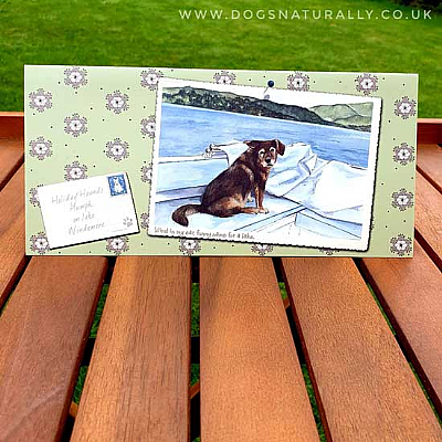 Windermere Patterned Dog Lover Card